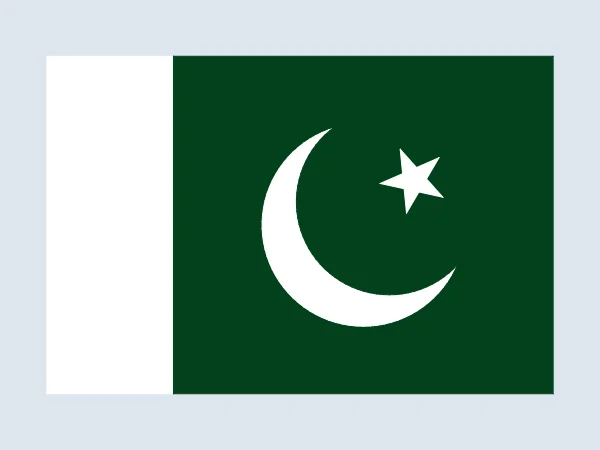 Pakistan Flag in Python Turtle
