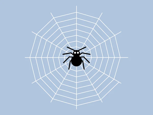 Spider Web in Python Turtle