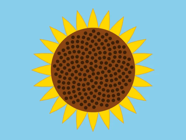 Sunflower in Python Turtle: the finished drawing